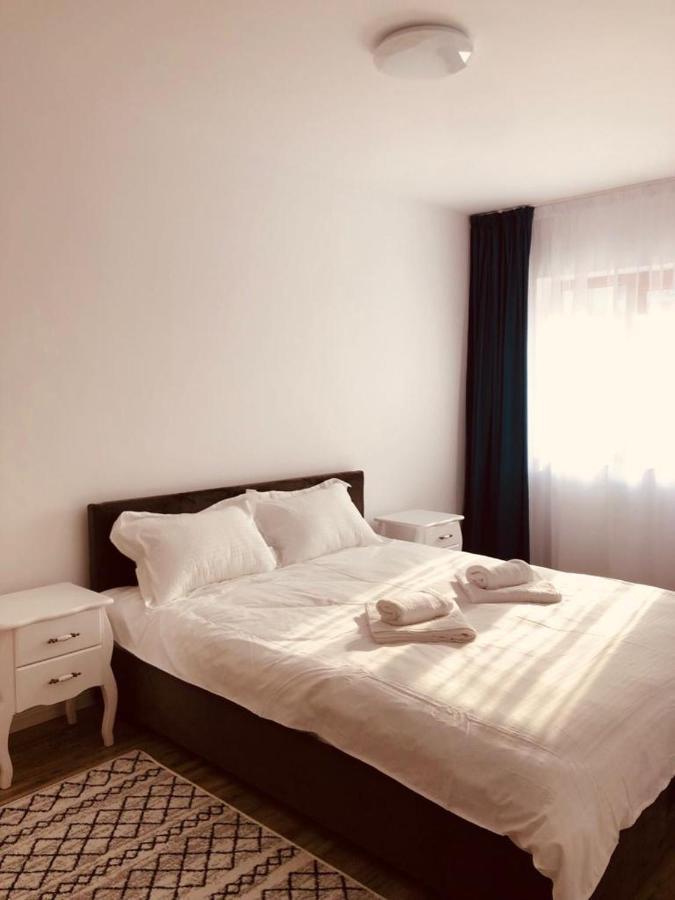 Narcisa Apartment Piatra Neamt Exterior photo