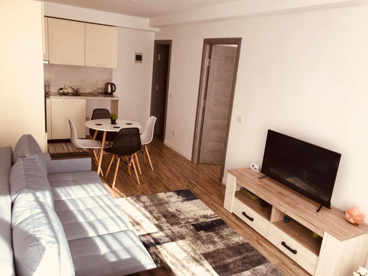 Narcisa Apartment Piatra Neamt Exterior photo